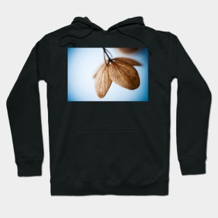 quiescent Hoodie